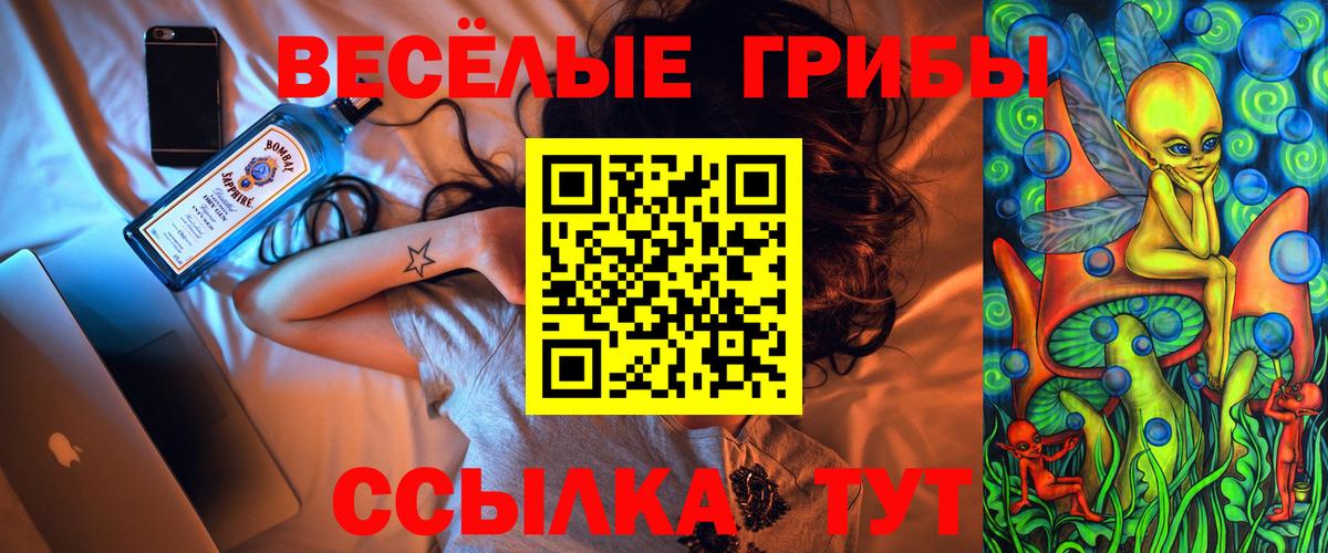 Псилоцибиновые грибы Psilocybine cubensis Новошахтинск