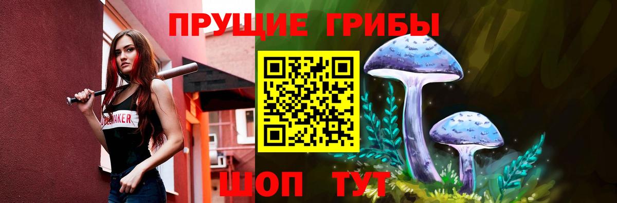 Новошахтинск  Галлюциногенные грибы мицелий  Вход с VPN 